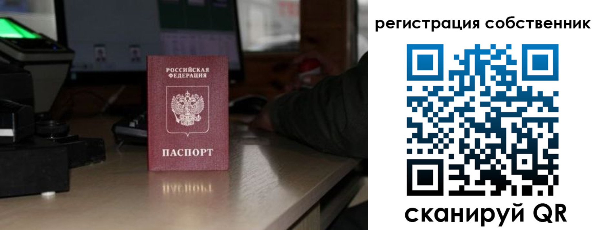 прописка поиск в Ряжске